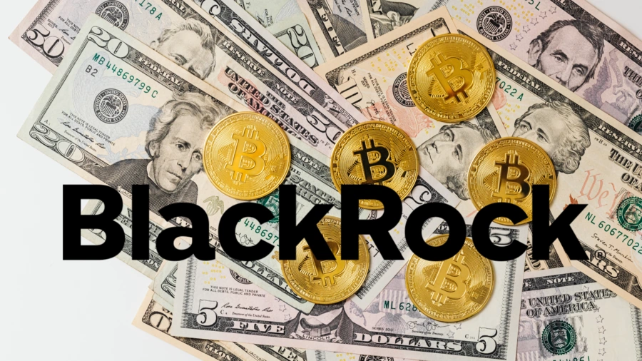 BlackRock досягає $10,6 трлн AUM на тлі зростання притоку в ETF