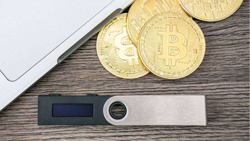 Холодний гаманець що це таке, як він працює та поради