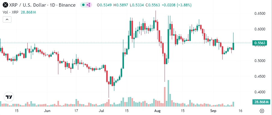 XRP зріс на 8%